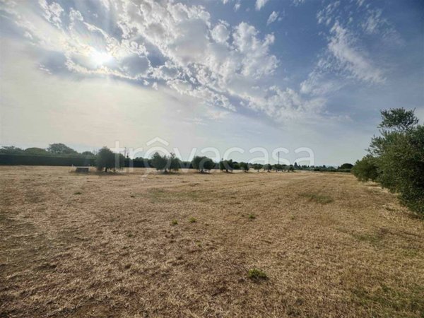 terreno in vendita a Rosignano Marittimo
