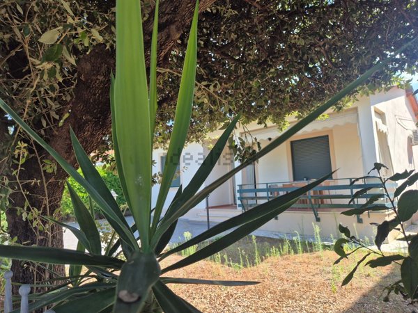 casa indipendente in vendita a Rosignano Marittimo in zona Castiglioncello
