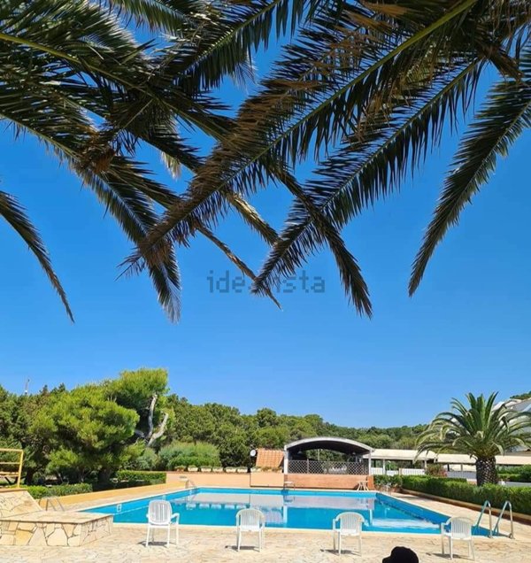 appartamento in vendita a Rosignano Marittimo in zona Castiglioncello