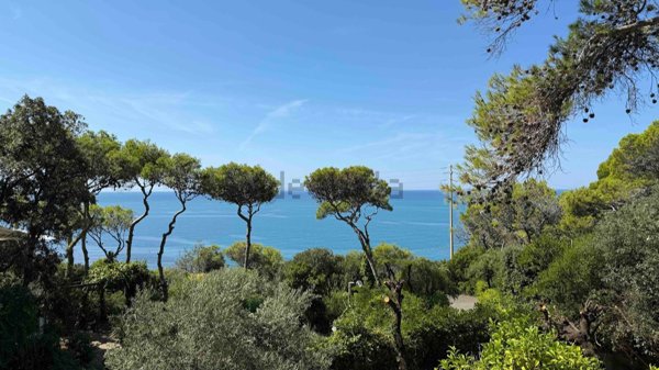 casa indipendente in vendita a Rosignano Marittimo in zona Castiglioncello