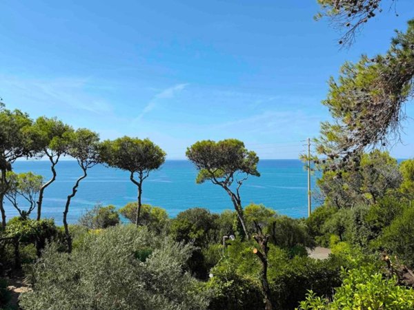 casa indipendente in vendita a Rosignano Marittimo in zona Castiglioncello