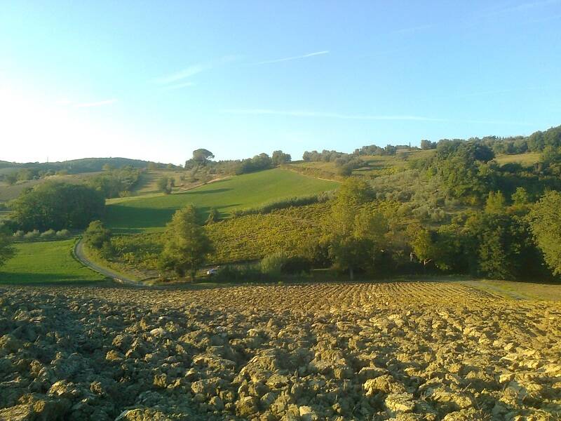 terreno in vendita a Rosignano Marittimo