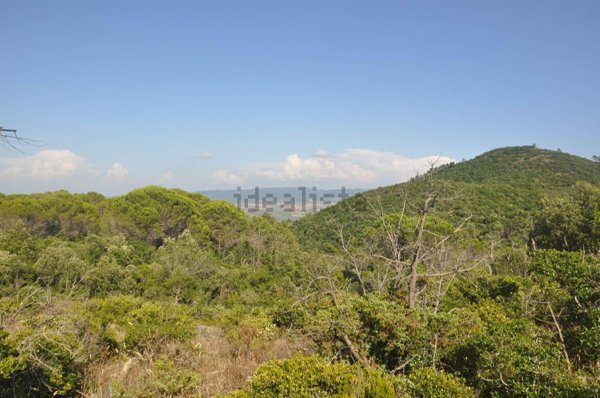 terreno in vendita a Rosignano Marittimo in zona Nibbiaia