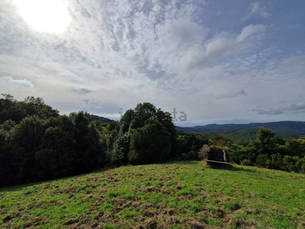terreno in vendita a Rosignano Marittimo in zona Nibbiaia