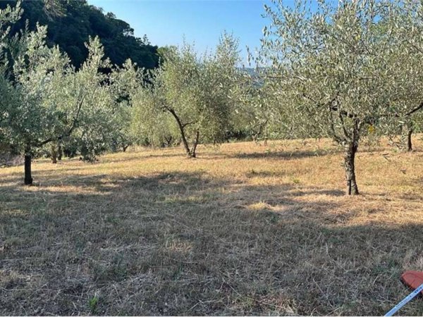 terreno in vendita a Rosignano Marittimo