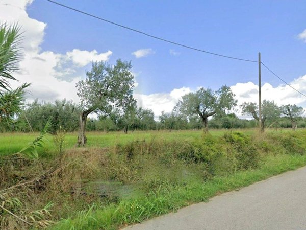 terreno agricolo in vendita a Rosignano Marittimo in zona Rosignano Solvay