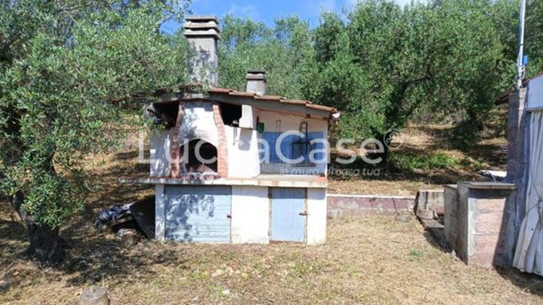 terreno in vendita a Rosignano Marittimo
