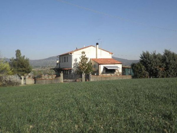 appartamento in vendita a Rosignano Marittimo