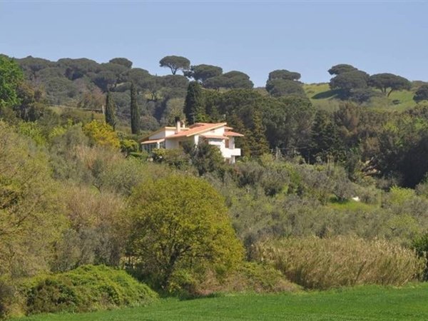 casa indipendente in vendita a Rosignano Marittimo