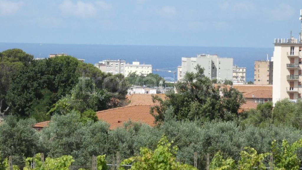 appartamento in vendita a Rosignano Marittimo in zona Rosignano Solvay