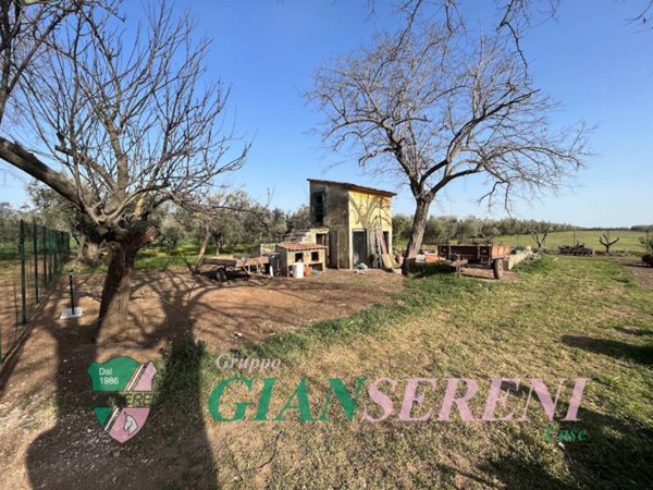 terreno agricolo in vendita a San Vincenzo