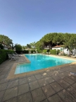 appartamento in vendita a San Vincenzo