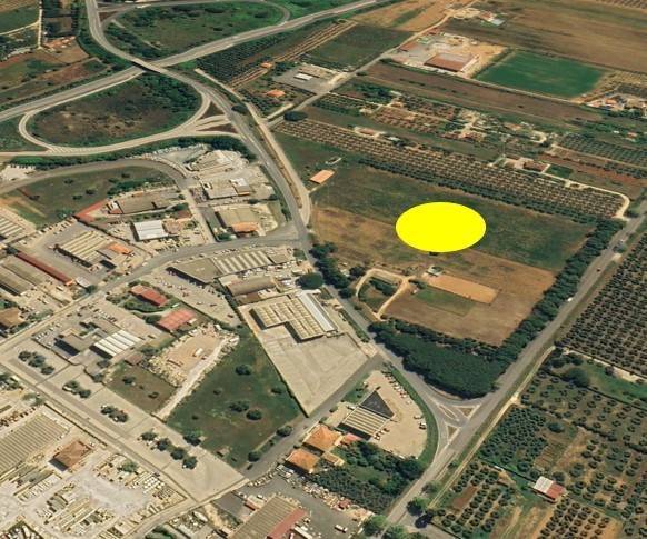 terreno agricolo in vendita a San Vincenzo