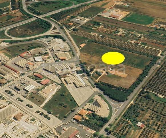 terreno agricolo in vendita a San Vincenzo