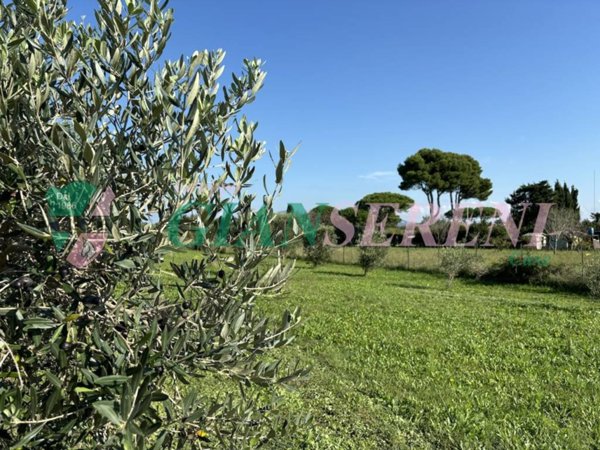 terreno agricolo in vendita a San Vincenzo