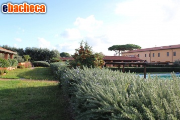 appartamento in vendita a San Vincenzo