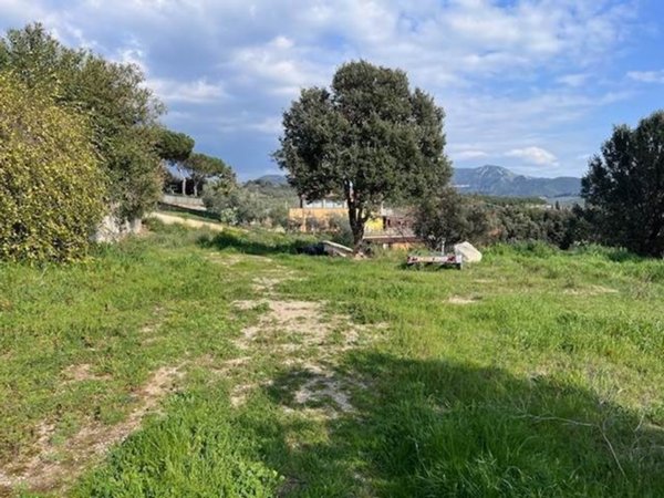 terreno edificabile in vendita a San Vincenzo