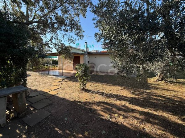 terreno agricolo in vendita a San Vincenzo