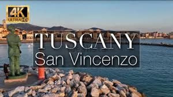 negozio in vendita a San Vincenzo