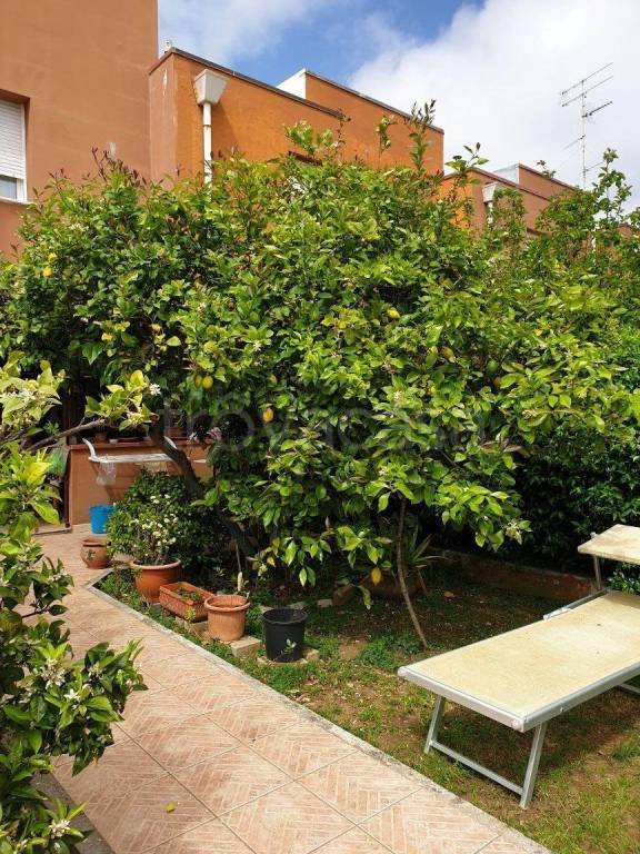 casa indipendente in vendita a San Vincenzo