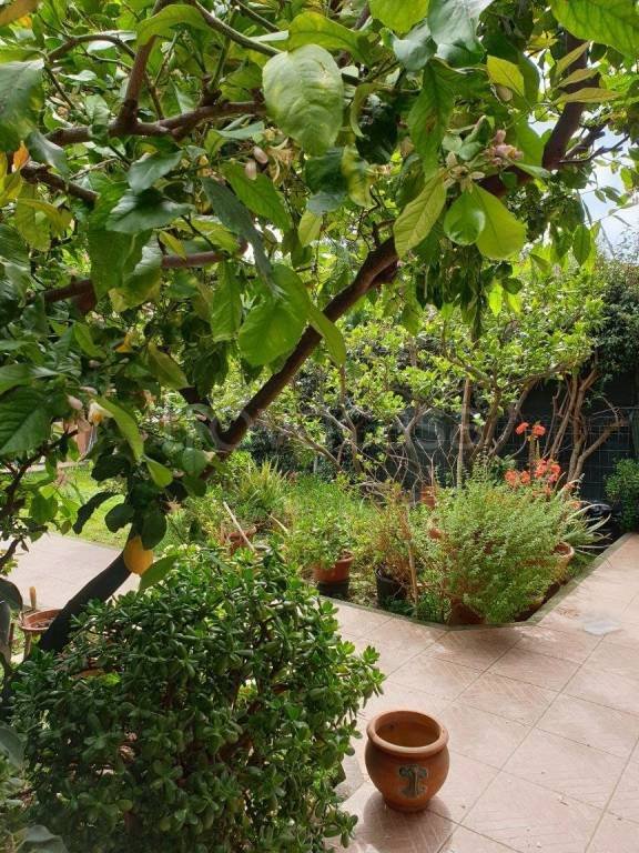 casa indipendente in vendita a San Vincenzo