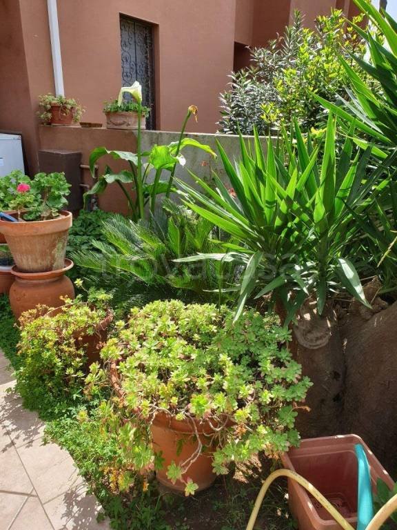 casa indipendente in vendita a San Vincenzo