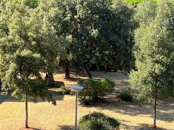 appartamento in vendita a San Vincenzo