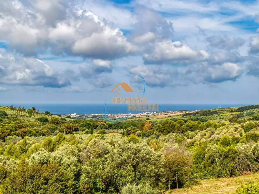 appartamento in vendita a San Vincenzo