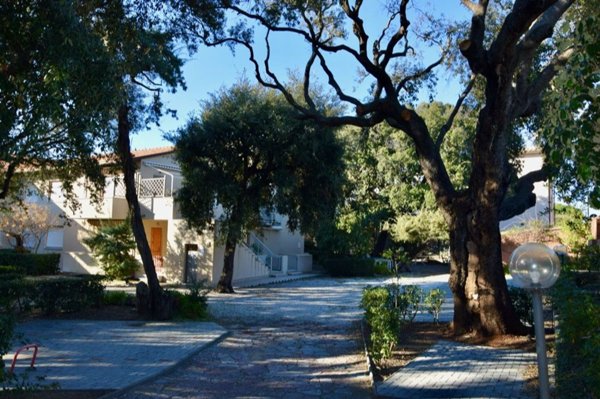 appartamento in vendita a San Vincenzo