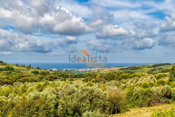 appartamento in vendita a San Vincenzo