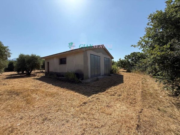 appartamento in vendita a San Vincenzo