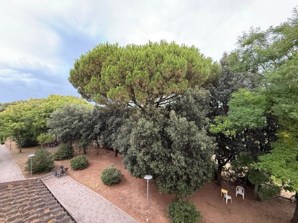 appartamento in vendita a San Vincenzo