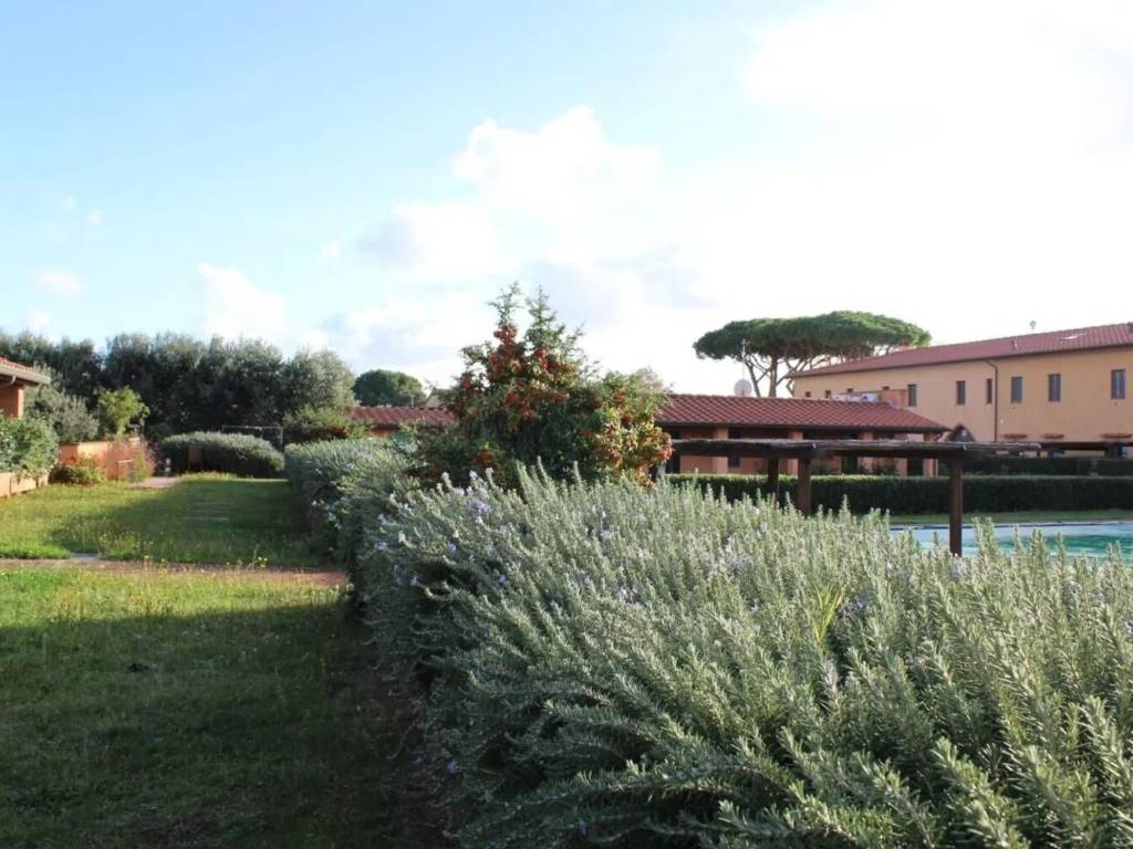 appartamento in vendita a San Vincenzo