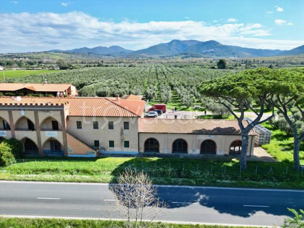 terreno agricolo in vendita a San Vincenzo
