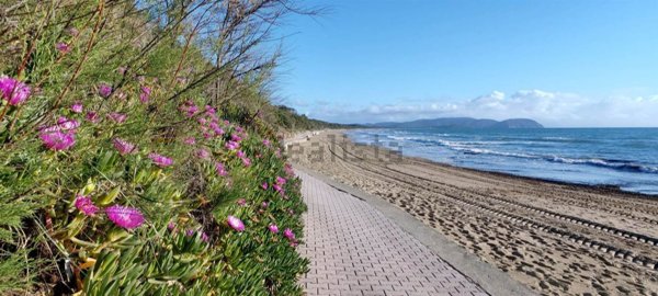 appartamento in vendita a San Vincenzo