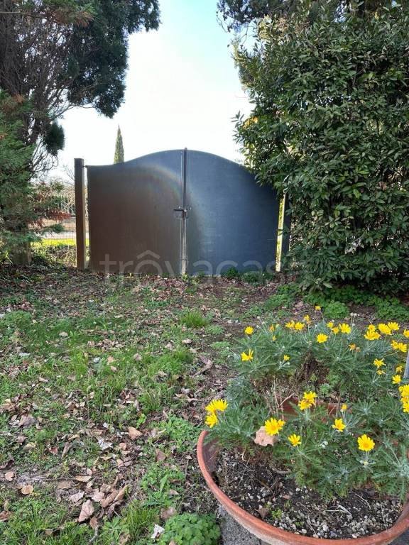 appartamento in vendita a San Vincenzo