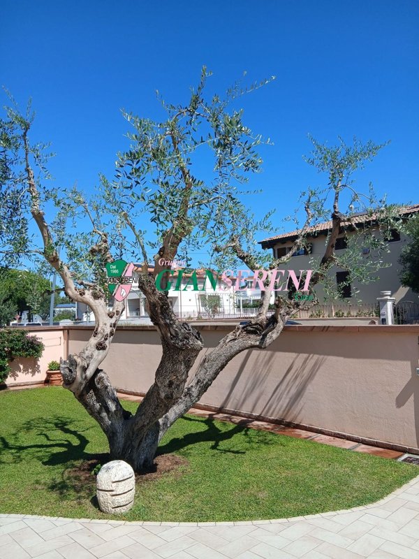 appartamento in vendita a San Vincenzo