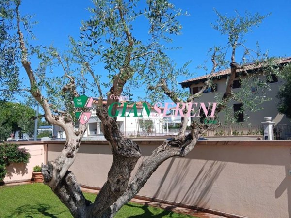 appartamento in vendita a San Vincenzo