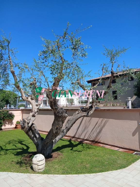 appartamento in vendita a San Vincenzo