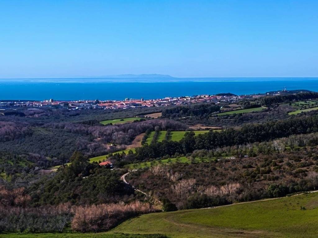 appartamento in vendita a San Vincenzo