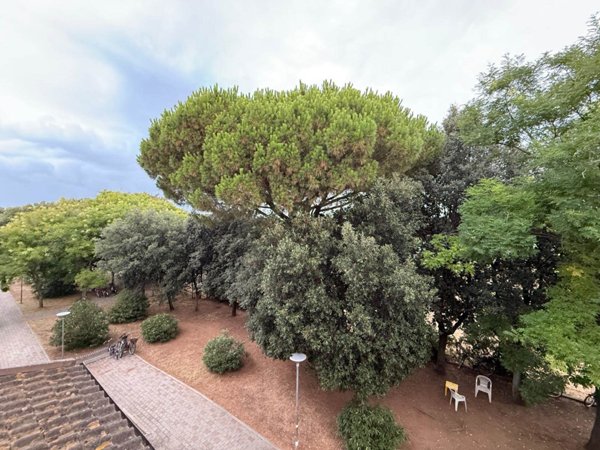 appartamento in vendita a San Vincenzo