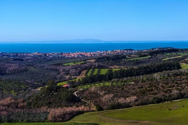 appartamento in vendita a San Vincenzo
