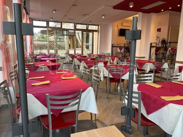 immagine annuncio 0 di 14