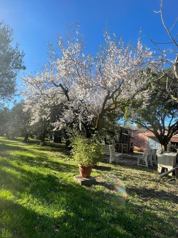 locale di sgombero in vendita a San Vincenzo