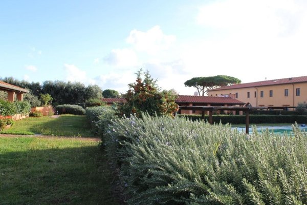 appartamento in vendita a San Vincenzo
