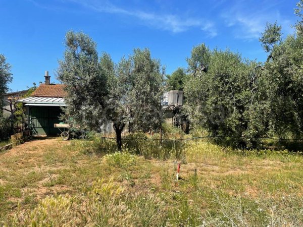 terreno agricolo in vendita a San Vincenzo