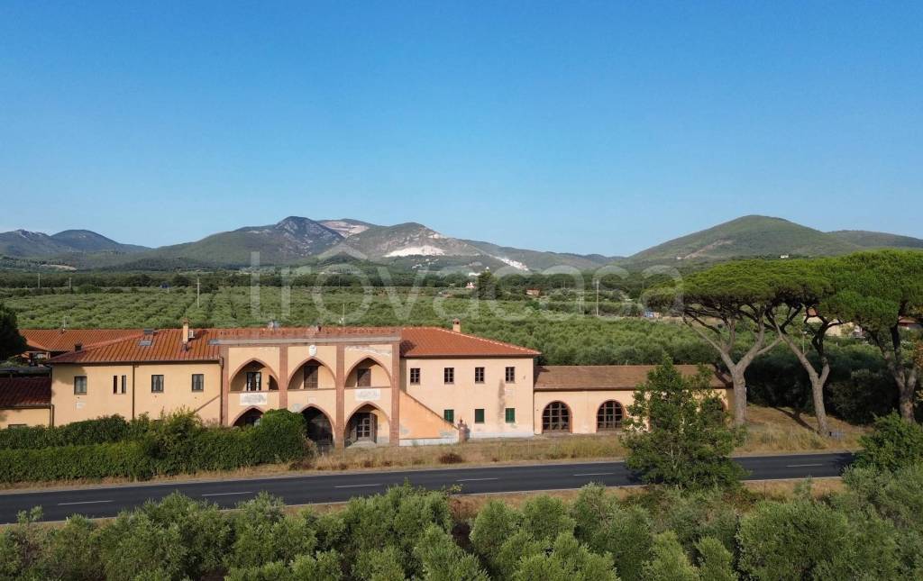 terreno agricolo in vendita a San Vincenzo