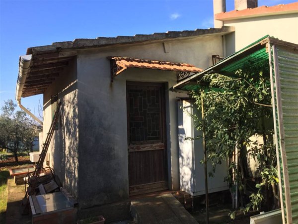 terreno agricolo in vendita a San Vincenzo