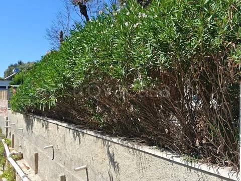 appartamento in vendita a San Vincenzo