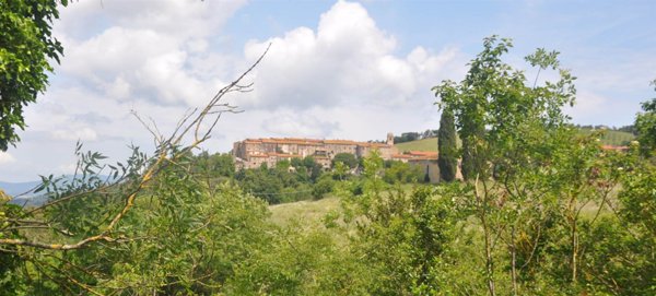 casa indipendente in vendita a Sassetta